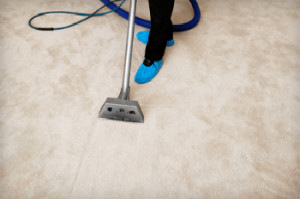 carpet cleaning services