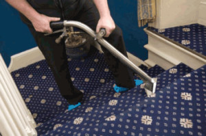 carpet cleaning services