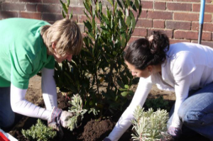 gardening services