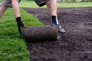 gardening services